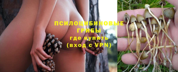 хмурый Алексеевка